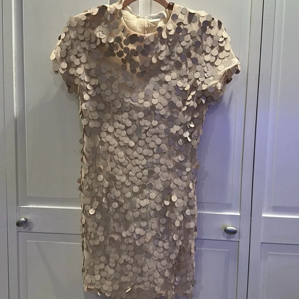 NWT | Collective the Label Disc Sequin Champagne Mini Dress - Picture 6 of 10